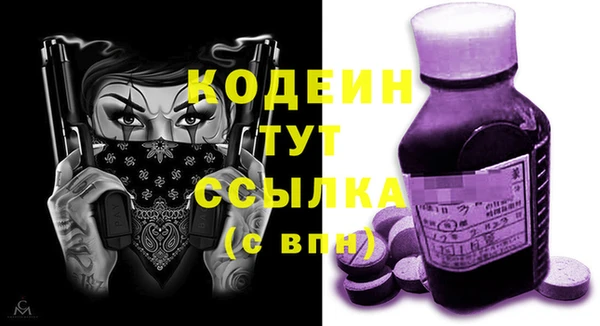 прущие грибы Иннополис