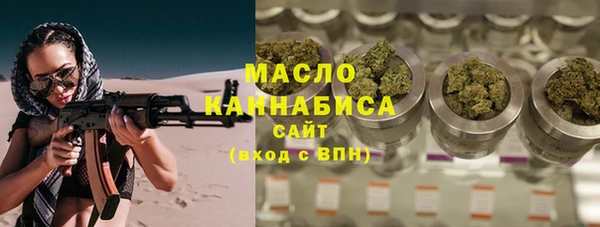 дмт Инта