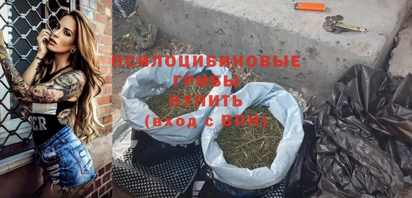 прущие грибы Инсар
