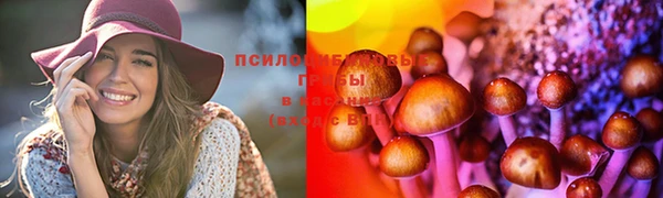 ALPHA-PVP Зеленодольск