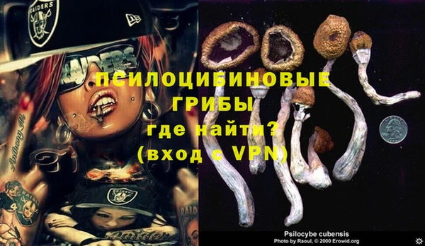дмт Инта