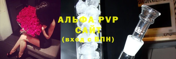 прущие грибы Иннополис