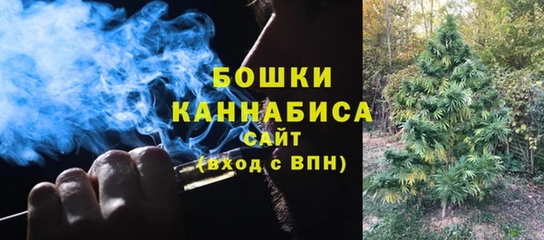 прущие грибы Инсар