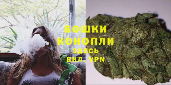 прущие грибы Иннополис