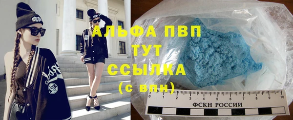 прущие грибы Иннополис