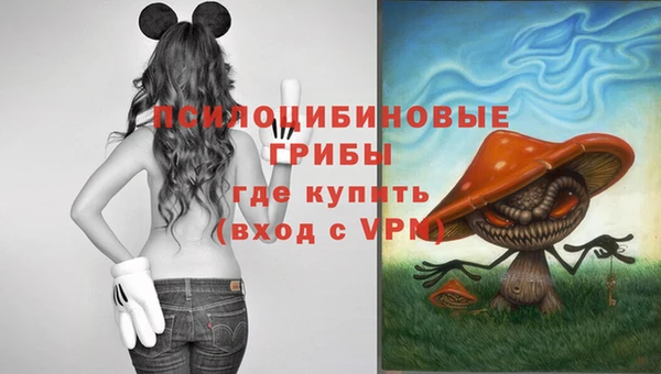 прущие грибы Иннополис