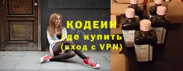 прущие грибы Инсар