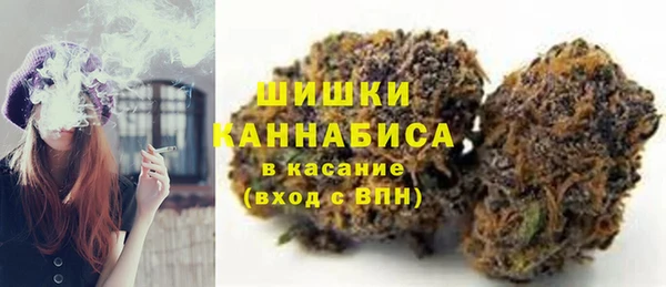прущие грибы Иннополис