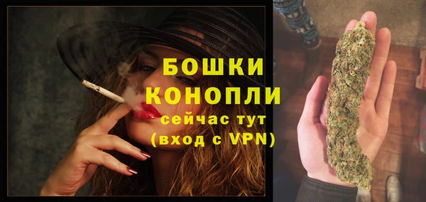 прущие грибы Инсар