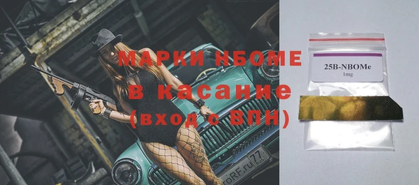 дмт Инта